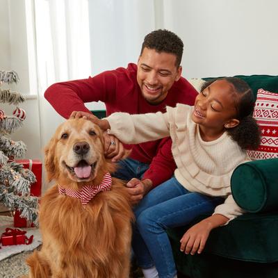 Show full view: Milk-Bone 12 Days of Woofmas Countdown Calendar Beef & Peanut Butter Crunchy Adult Dog Treats, 2.85-oz box slide 7 of 12