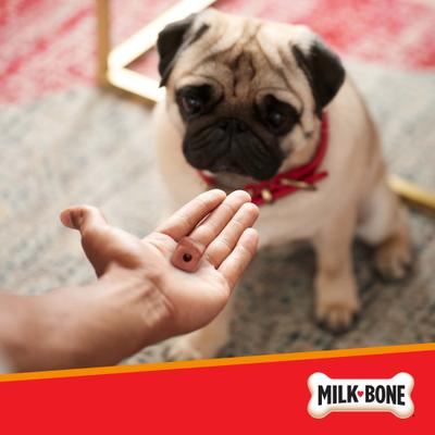Show full view: Milk-Bone Pill Pouches with Real Chicken Dog Treats, 6-oz bag slide 7 of 12