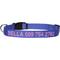 Show in main carousel: GoTags Nylon Personalized Dog Collar, Lavender, Medium: 14 to 20-in neck, 3/4-in wide slide 1 of 7