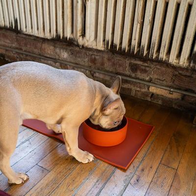 Show full view: ADC Houndstone & Co. Non-Skid Silicone BPA-Free Dog Bowl, Sky Blue, 4.5-cup slide 8 of 9