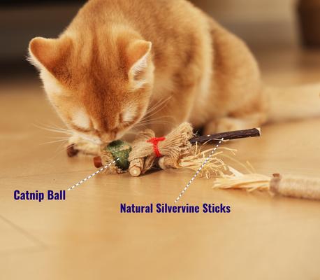 Show full view: Fashion's Talk Scarecrow Silvervine Teething Sticks Chew Cat Toy with Catnip, Multicolor, 5 count slide 2 of 7