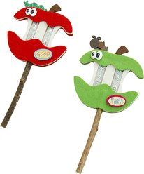 Fashion's Talk Indoor Silvervine Sticks Apple Cat Chew Toy, Multicolor, 2 count