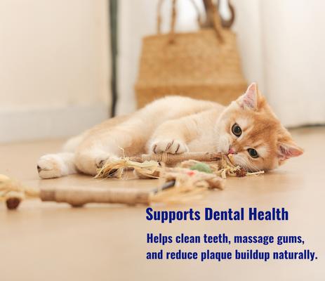 Show full view: Fashion's Talk Scarecrow Silvervine Teething Sticks Chew Cat Toy with Catnip, Multicolor, 5 count slide 4 of 7