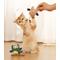 Show in main carousel: Fashion's Talk Owl Silvervine Stick Chew Cat Toy with Catnip, Multicolor, 2 count slide 9 of 10