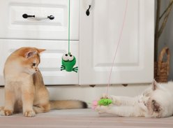 Fashion's Talk Adjustable Hanging Frog & Silvervine Gall Fruit Interactive Plush Cat Toy with Catnip, Green, 2 count