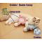 Show in main carousel: Fashion's Talk Flying Squirrel Plush Kicker Chew Cat Toy with Catnip Crinkles, Pink/Blue, 2 count slide 3 of 5