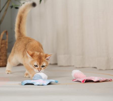 Show full view: Fashion's Talk Flying Squirrel Plush Kicker Chew Cat Toy with Catnip Crinkles, Pink/Blue, 2 count slide 4 of 5