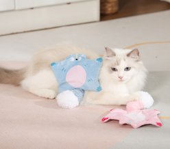 Fashion's Talk Flying Squirrel Plush Kicker Chew Cat Toy with Catnip Crinkles, Pink/Blue, 2 count