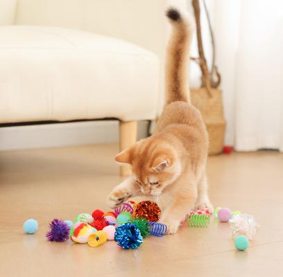 Show full view: Fashion's Talk Interactive Ball Launcher Cat Toy, Multicolor, 40 count slide 3 of 5