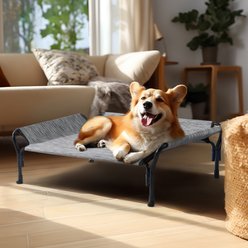 Veehoo Guardrail Elevated Dog Bed, Black Sliver, Medium slide 2 of 6