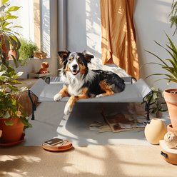 Veehoo Guardrail Elevated Dog Bed, Sky Grey, Large slide 2 of 6