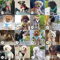 Bella & Pal OxyMesh Velcro Step-in Harness & Leash Set, Lavender, XX-Small slide 2 of 6