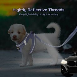 Bella & Pal OxyMesh Velcro Step-in Harness & Leash Set, Lavender, Large slide 2 of 6