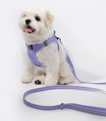 Bella & Pal OxyMesh Velcro Step-in Harness & Leash Set, Lavender, Small