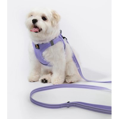 Bella & Pal Bella & Pal OxyMesh Velcro Step-in Harness & Leash Set, Lavender, X-Small