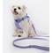 Show in main carousel: Bella & Pal OxyMesh Velcro Step-in Harness & Leash Set, Lavender, Small slide 1 of 7