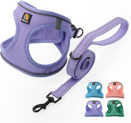 Show full view: Bella & Pal OxyMesh Velcro Step-in Harness & Leash Set, Lavender, Small slide 2 of 7