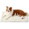 Show in main carousel: Bedsure Corduroy Fleece Self-Warming Cat & Dog Bed, Beige, Large slide 1 of 8