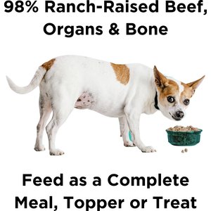 BIXBI Rawbble Beef Recipe Grain-Free Freeze-Dried Dog Food, 26-oz bag