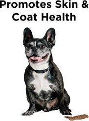 BIXBI Liberty Skin & Coat Chicken Grain-Free Jerky Dog Treats, 5-oz bag slide 2 of 5