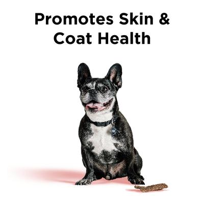 Show full view: BIXBI Skin & Coat Salmon Jerky Dog Treats, 4-oz bag slide 3 of 8