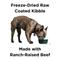Show in main carousel: BIXBI Rawbble Grain-Free Beef Recipe Dry Dog Food, 4-lb bag slide 3 of 9