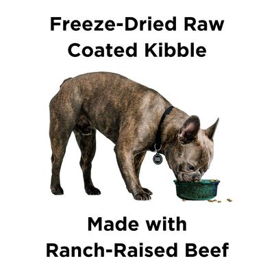 Show full view: BIXBI Rawbble Grain-Free Beef Recipe Dry Dog Food, 4-lb bag slide 3 of 9