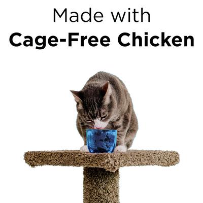 Show full view: BIXBI Liberty Chicken & Pumpkin Recipe in Broth Grain-Free Wet Cat Food, 2.75-oz can, case of 24 slide 3 of 7