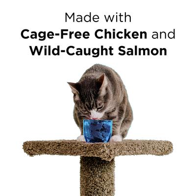Show full view: BIXBI Liberty Chicken & Salmon Recipe in Broth Grain-Free Wet Cat Food, 2.75-oz can, case of 24 slide 3 of 8