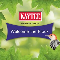 Kaytee Woodpecker Cake, 1.85-lb, 4 count slide 2 of 8