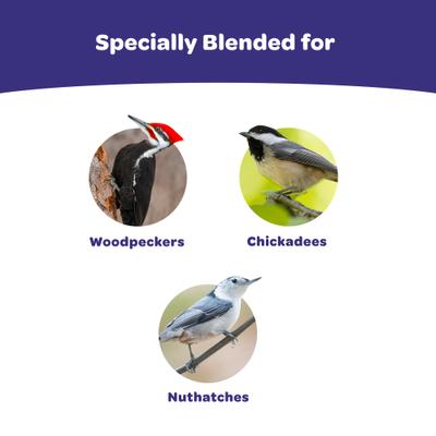 Show full view: Kaytee Woodpecker Seed Cake Wild Bird Food, 1 count slide 2 of 12