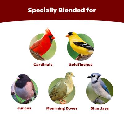 Show full view: Kaytee Cardinal Seed Cake Wild Bird Food, 1 count slide 2 of 10