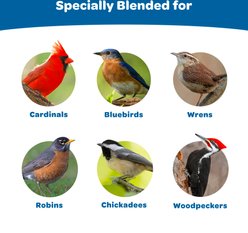 Kaytee Gourmet Wild Bird Seed Cake, 2-lb, 4 count slide 2 of 8