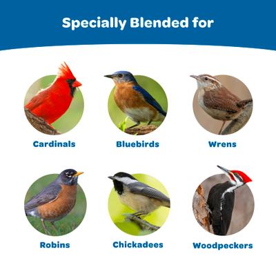 Show full view: Kaytee Gourmet Wild Bird Seed Cake, 2-lb, 4 count slide 2 of 8