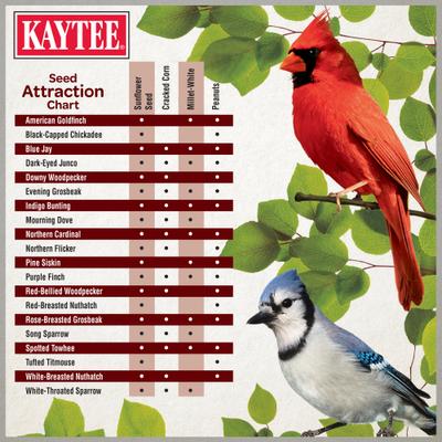Show full view: Kaytee Ultimate Birders Blend Wild Bird Food, 10-lb bag slide 5 of 9