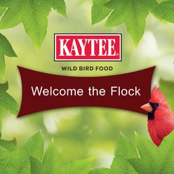 Kaytee Cardinal Seed Cake Wild Bird Food, 1 count slide 2 of 9