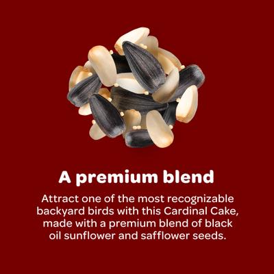 Show full view: Kaytee Cardinal Seed Cake Wild Bird Food, 1 count slide 3 of 10