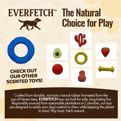Show full view: EVERFETCH Natural Rubber Lickable Dental Ring Beef Scented Dog Chew Toy slide 6 of 7