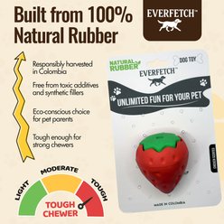 EVERFETCH Natural Rubber Strawberry Squeaky Interactive Chicken Scented Dog Chew Toy slide 2 of 6