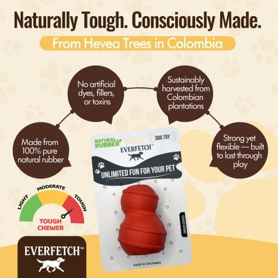 Show full view: EVERFETCH Natural Rubber Classic Treat-Holder Chicken Scented Dog Chew Toy slide 4 of 6
