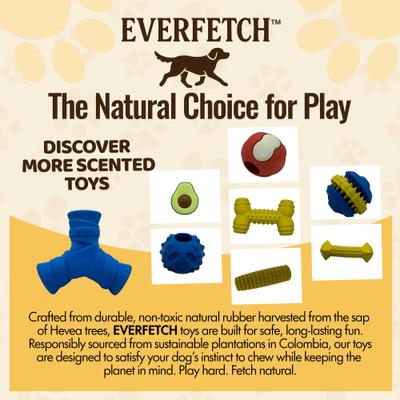 Show full view: EVERFETCH Natural Rubber Treat-Holder Beef Scented Dog Chew Toy slide 6 of 7