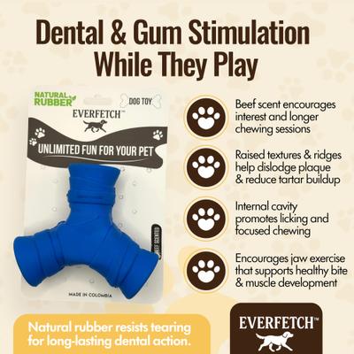 Show full view: EVERFETCH Natural Rubber Treat-Holder Beef Scented Dog Chew Toy slide 4 of 7
