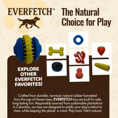 Show full view: EVERFETCH Natural Rubber Modular Dental Ball Chicken Scented Dog Chew Toy slide 6 of 7