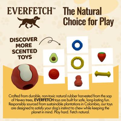 Show full view: EVERFETCH Natural Rubber BBQ Scented Dental Ball Treat-Holder Dog Chew Toy slide 5 of 6