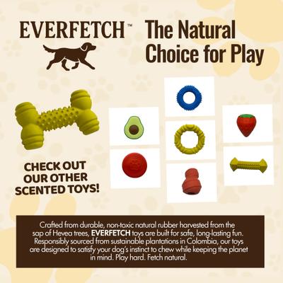 Show full view: EVERFETCH Natural Rubber Dental Bone Peanut Butter Scented Dog Chew Toy slide 5 of 6