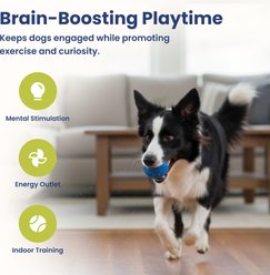 PawsPik Smart Bounce Interactive Dog Toy, Blue, Small slide 2 of 9