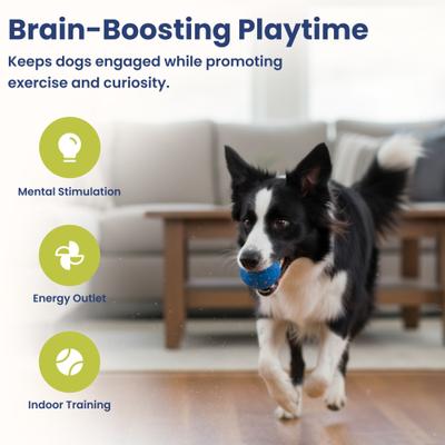 PawsPik Smart Bounce Interactive Dog Toy