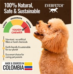 EVERFETCH Natural Rubber Lickable Dental Ring Beef Scented Dog Chew Toy slide 2 of 6