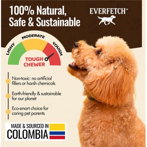 EVERFETCH Natural Rubber Lickable Dental Ring Beef Scented Dog Chew Toy