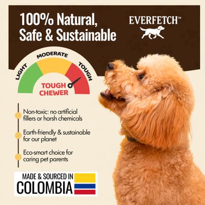 Show full view: EVERFETCH Natural Rubber Lickable Dental Ring Beef Scented Dog Chew Toy slide 5 of 7